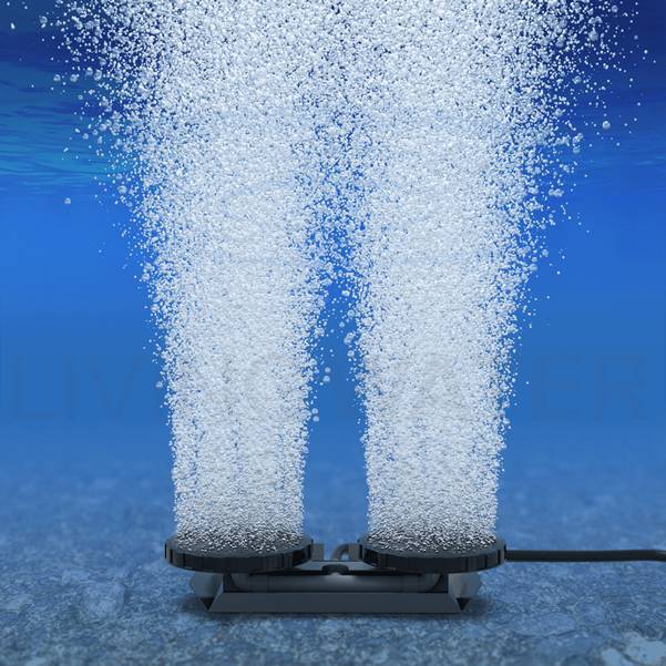 Sintered titanium powder aerators for circulating and adding oxygen to the lake.
